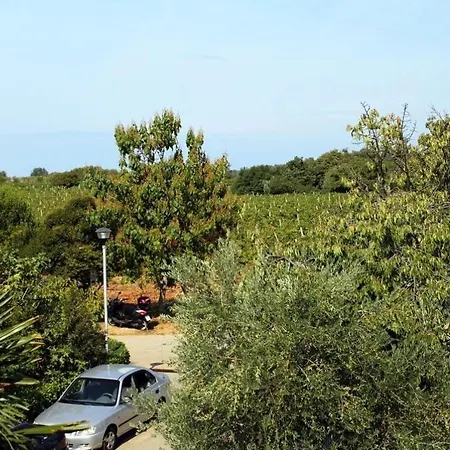 Apartment Neva Novigrad (Istria)