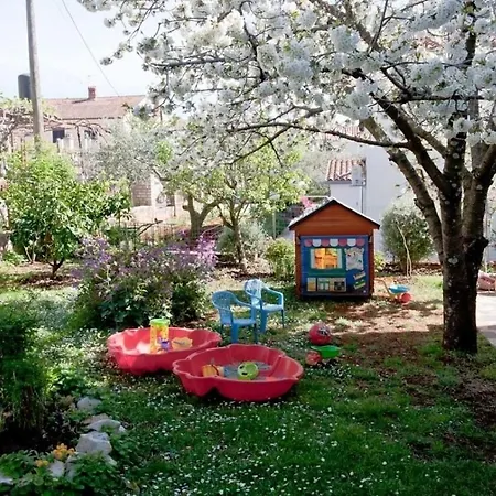Apartament Neva